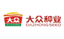 大众DAZHONG