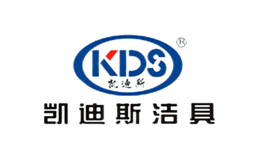 凯迪斯KDS