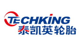 泰凯英Techking