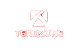 东微TENDZONE