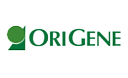 OriGene