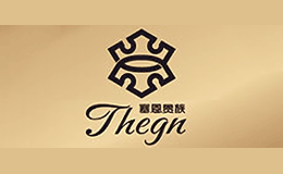 塞恩贵族THEGN