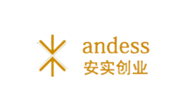 安实创业Andess