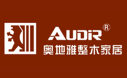 奥地雅AUDIR