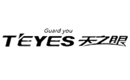 天之眼TEYES