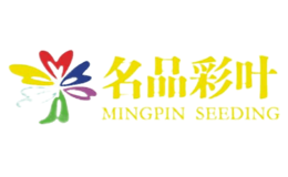 名品彩叶