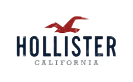 Hollister霍利斯特