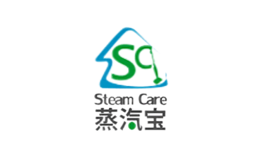 蒸汽宝steamcare