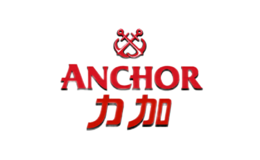 Anchor力加