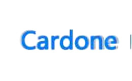 卡多尼Cardone