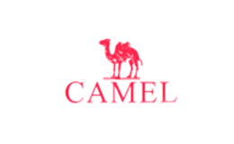 AMCAMEL