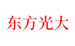 东方光大