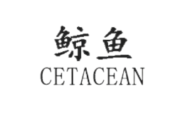 鲸鱼CETACEAN