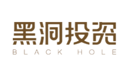 黑洞投资BlackHole