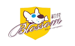 初花BLOSSOM