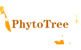 PhytoTree