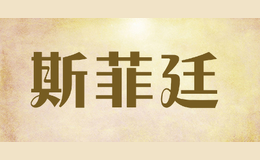 斯菲廷