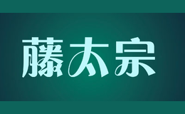 藤太宗