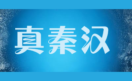 真秦汉ch.qinhan