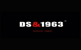 DS&1963