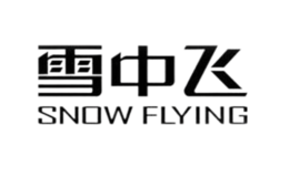 雪中飞Snow Flying