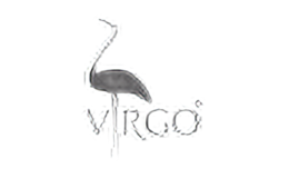 virgo化妆品VIRGO