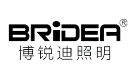 博锐迪BRIDEA