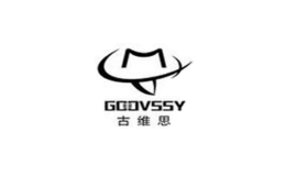 古维思GOOVSSY