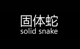 固体蛇solid snake