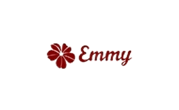 emmy饰品