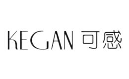 可感KEGAN