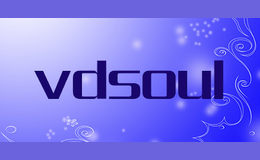 vdsoul