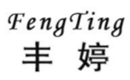 丰婷FEGN TING