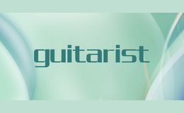 guitarist