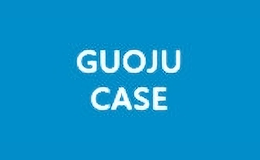 guojucase