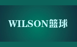 WILSON篮球