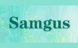 Samgus