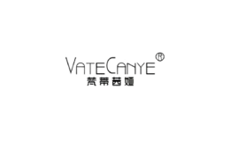 vatecanye服饰